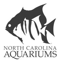 NC Aquariums Logo