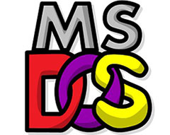 MS DOS